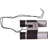 Бинокль BRESSER Topas 10x25 Silver 69355